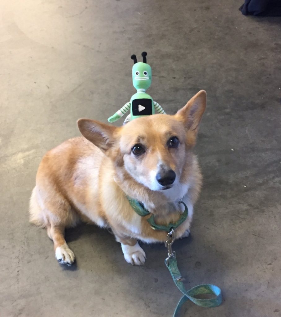 RevSum SenderGen booth Corgi