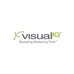 VisualIQ-1