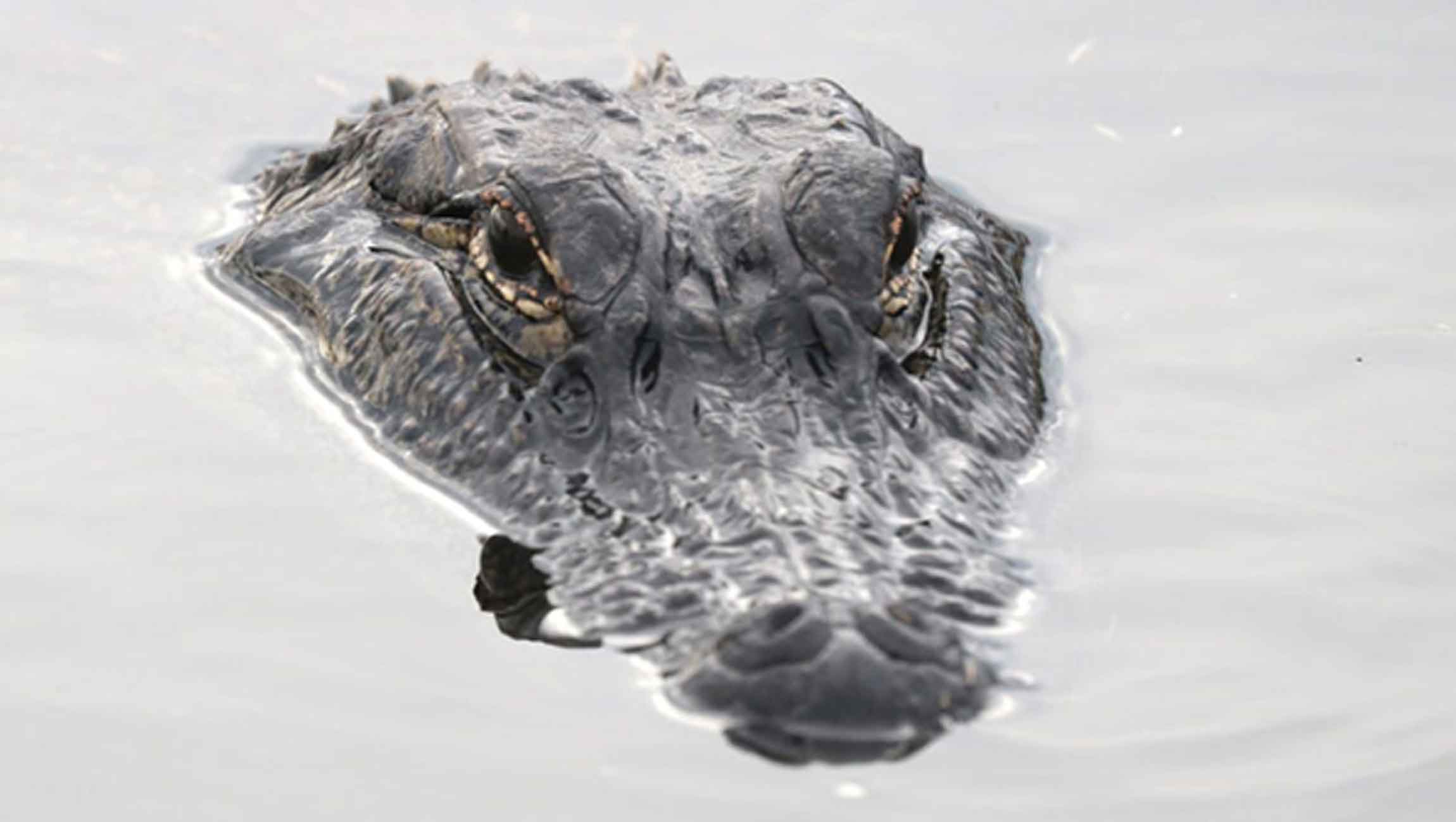 4 Social Media Risks You Need To Prepare For