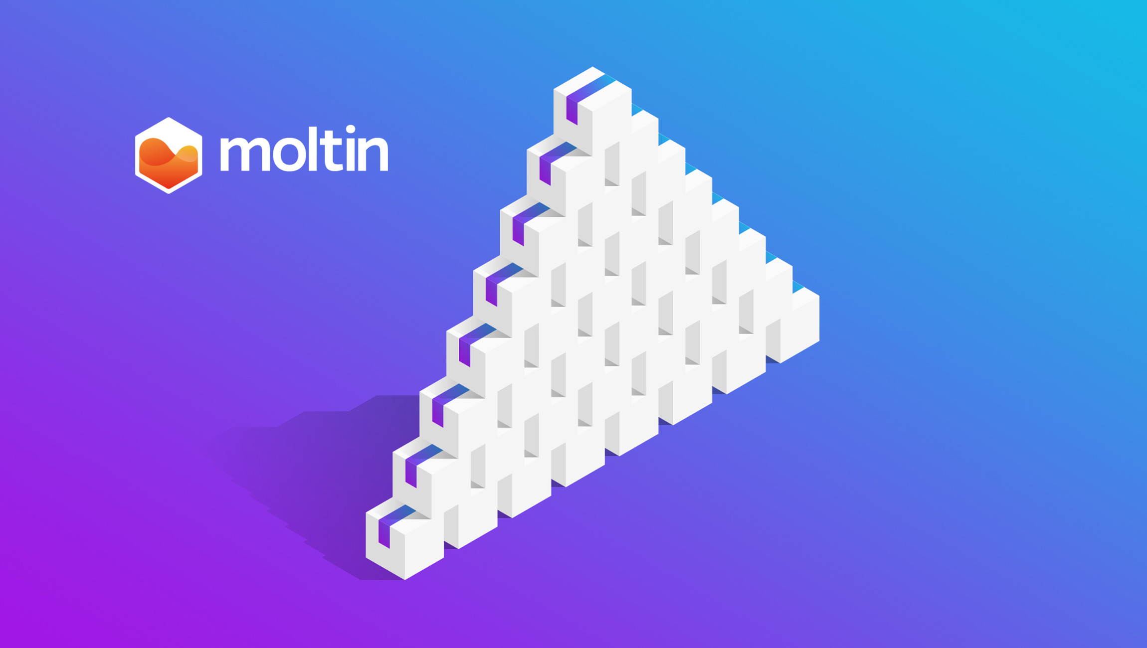 Moltin Raises $8 Million Series A Round, Appoints Jamus Driscoll as CEO