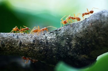 What Martech Partnerships Really Say About the State of Digital Marketing