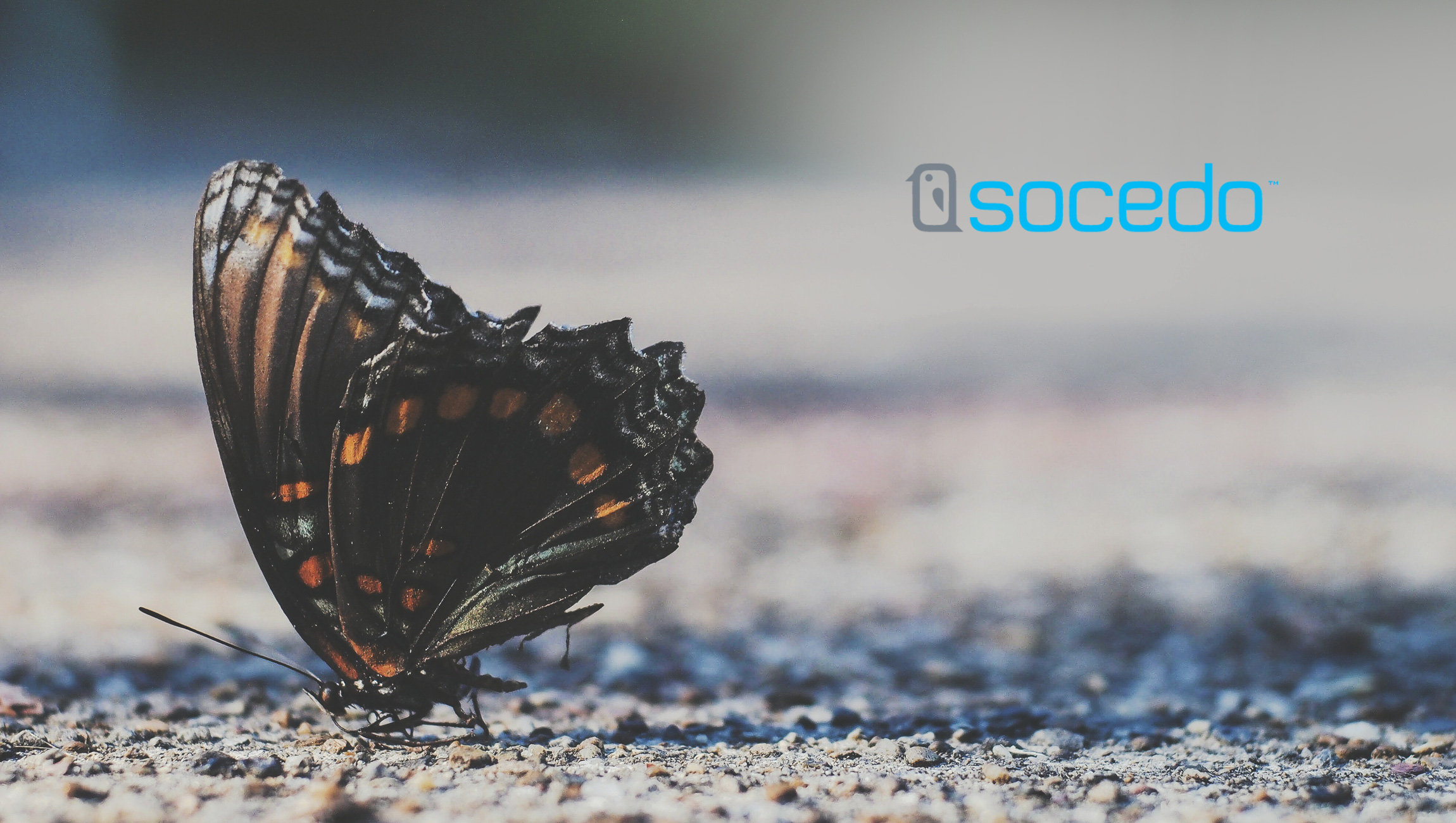 Marketo Accelerate Evolves Further with Addition of Socedo