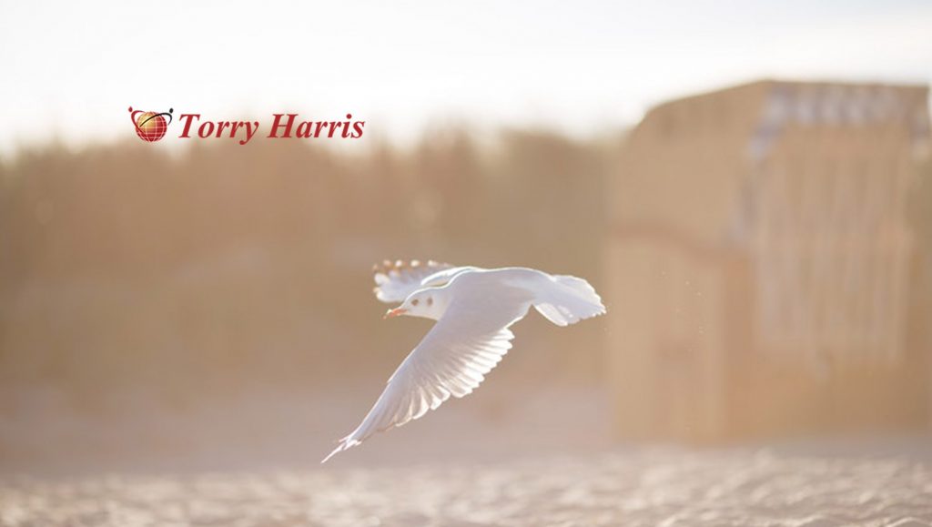 Torry Harris Launches DigitMarket — a B2B2C Platform for all Platforms