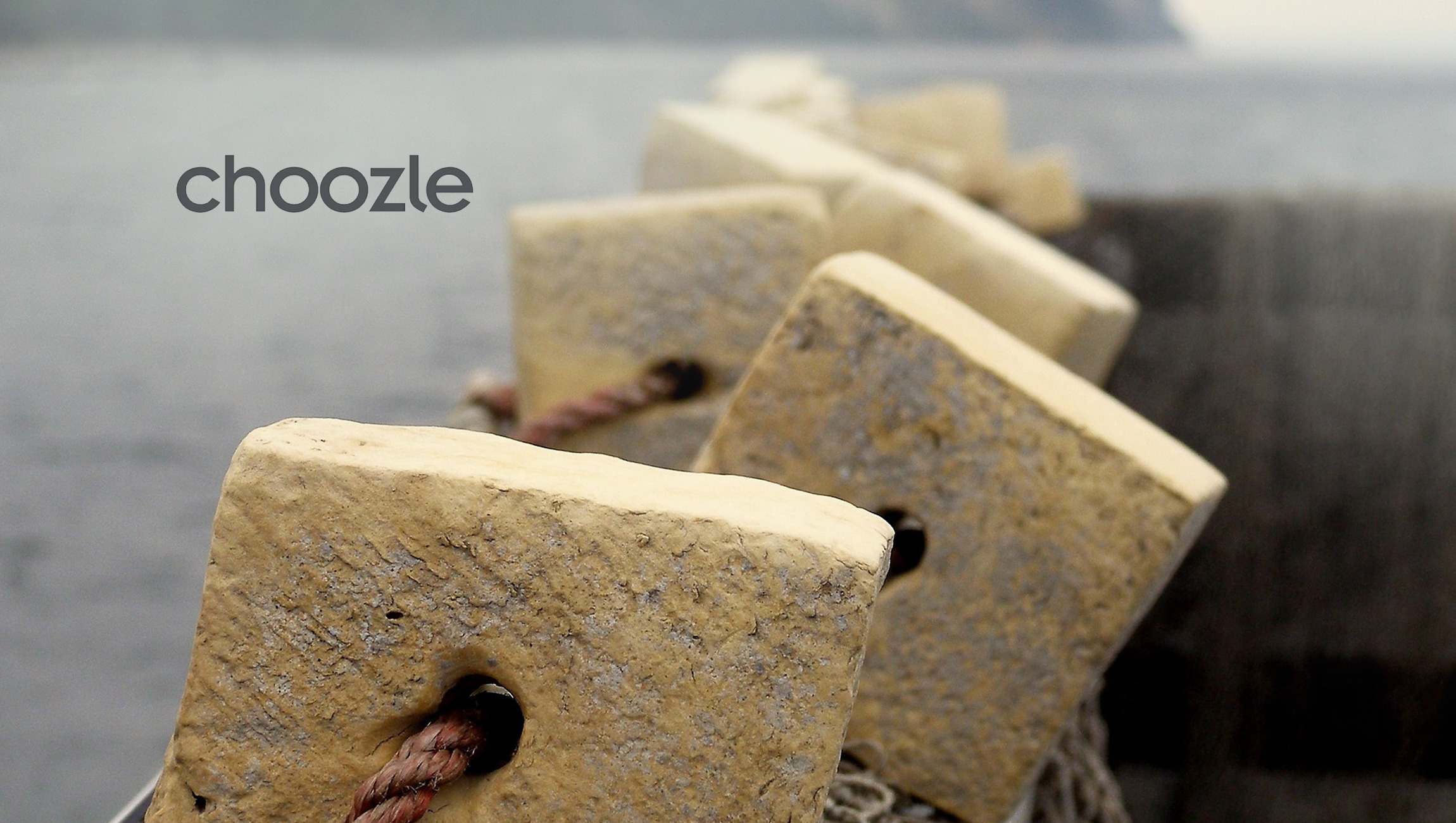 Exploring the Role of Choozle Universal Data Catalog in Digital Advertising