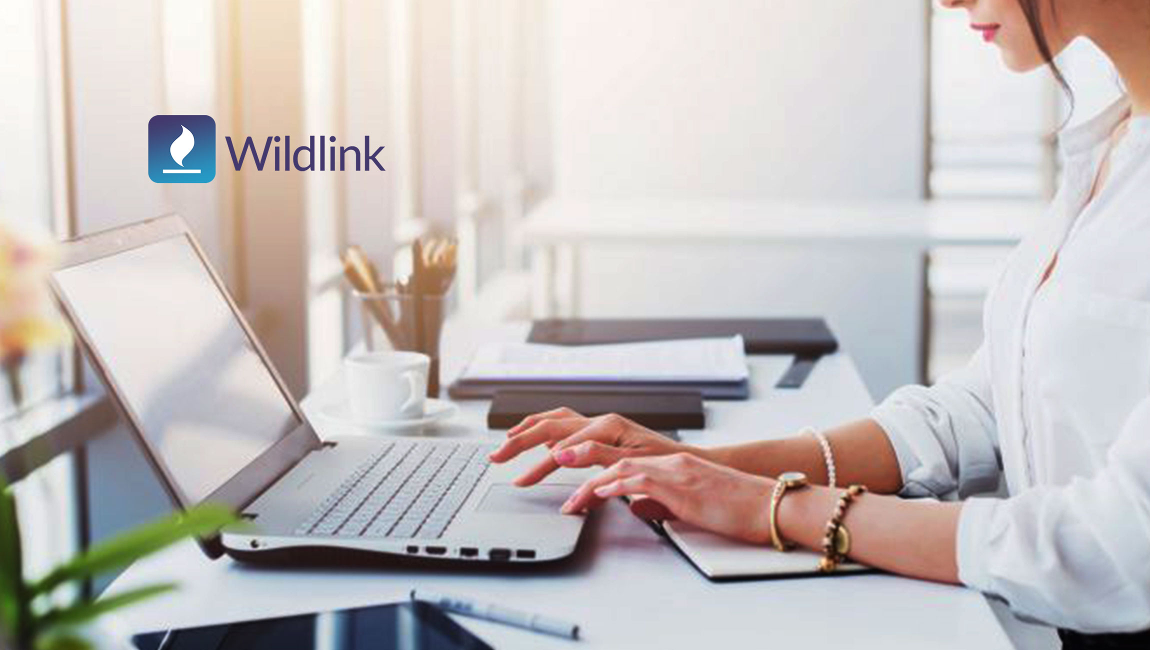 Wildfire Systems Launches Wildlink, The First Platform for Monetizing Social Messaging and Digital Communications
