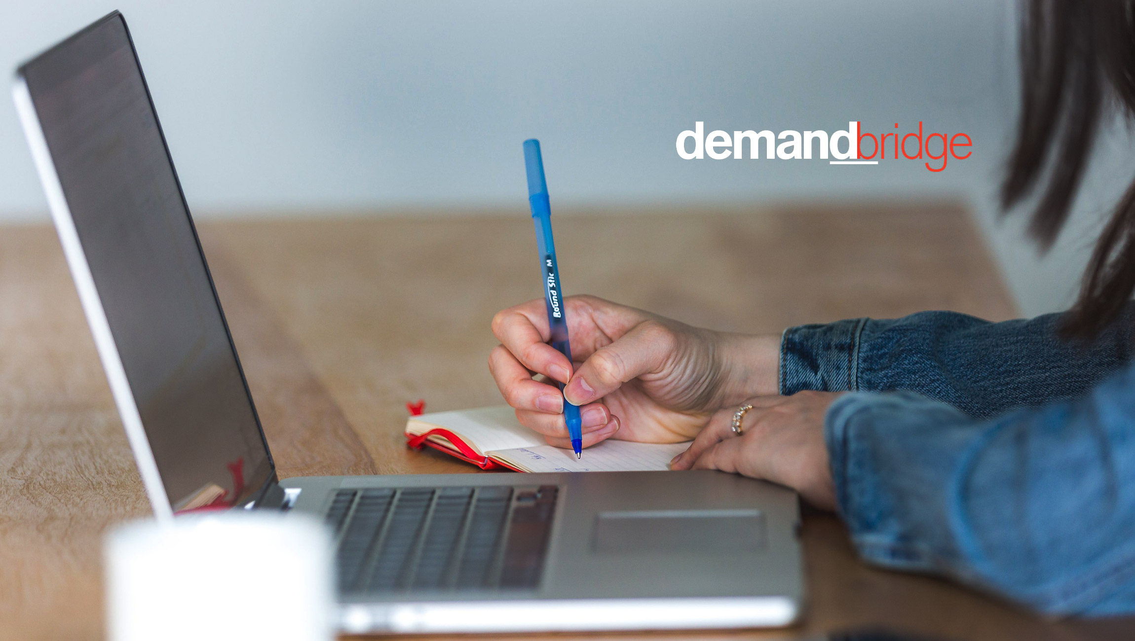 DemandBridge Announces Strategic Alliance