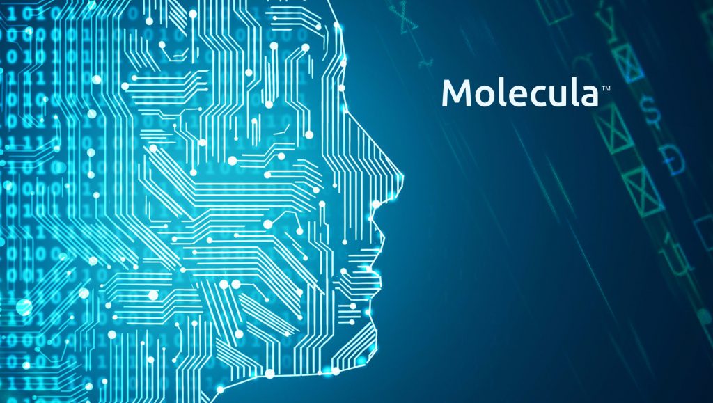 Molecula launches to Make Enterprise Data AI-Ready