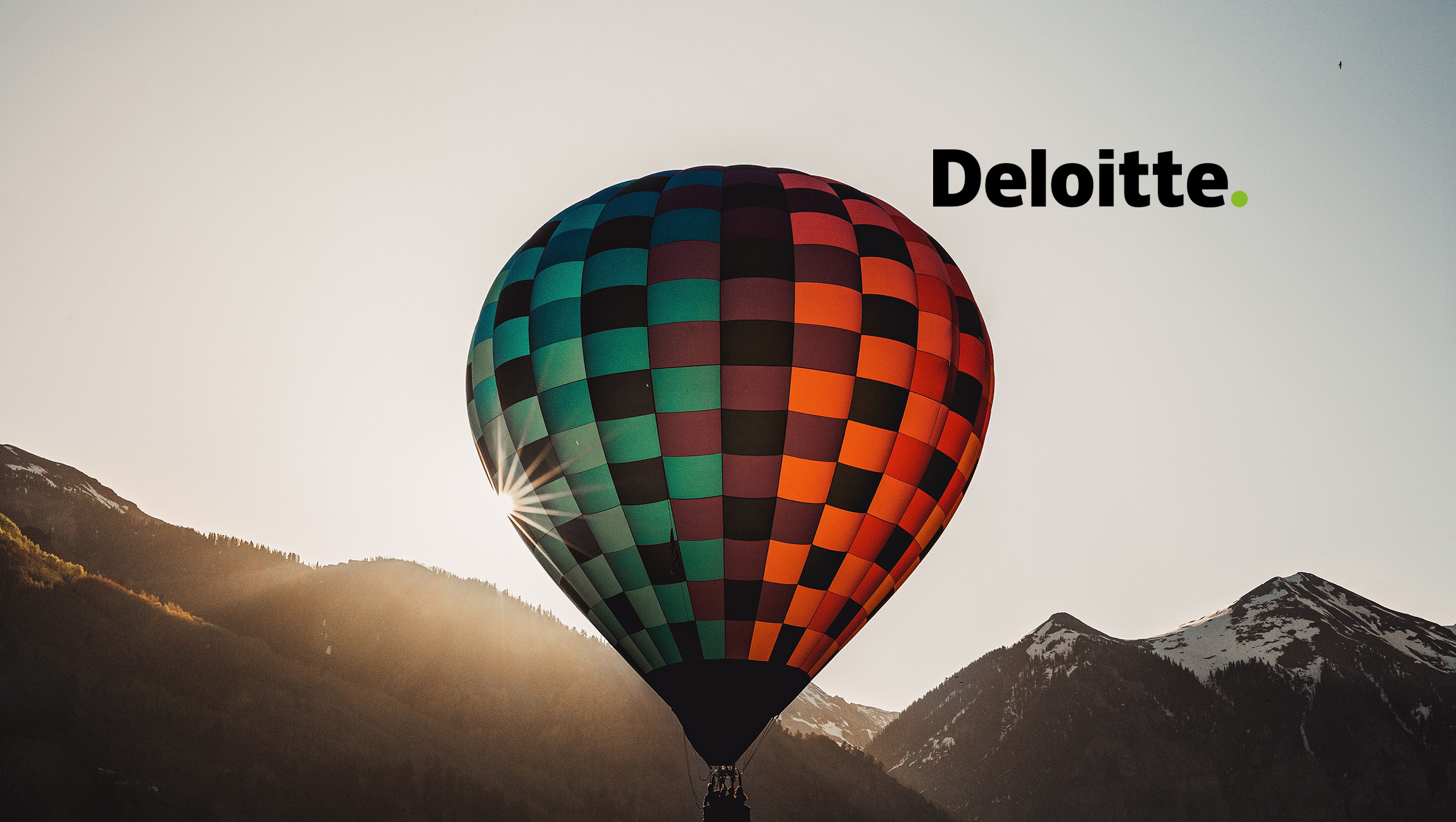What is Deloitte’s New Public Data Visualization Tool All About?