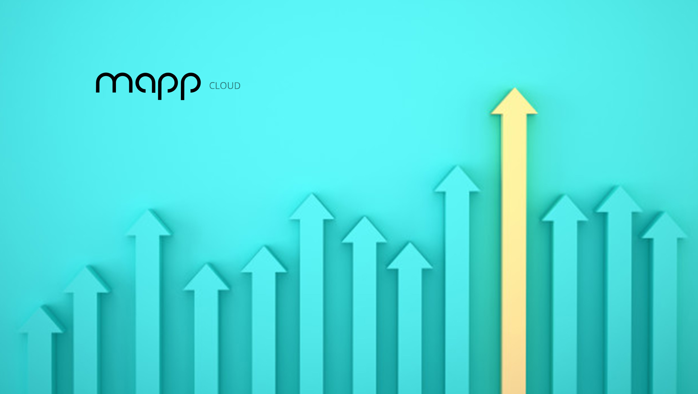 Mapp Appoints Maurizio Alberti as Vice President Global Sales