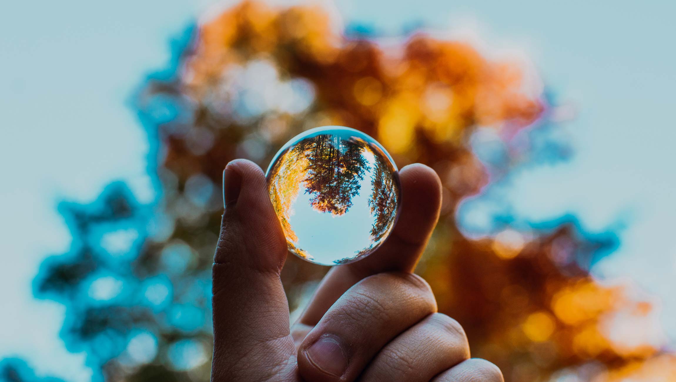 The Monitor Report 2019 – Children’s Media Use and Purchasing