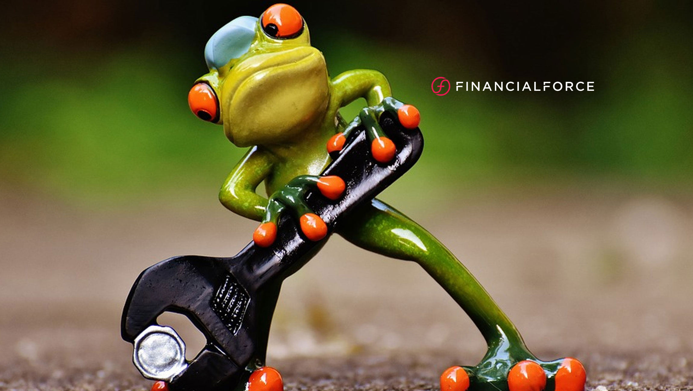 FinancialForce Receives Top Honors for Professional Services Automation and Accounting Software from G2