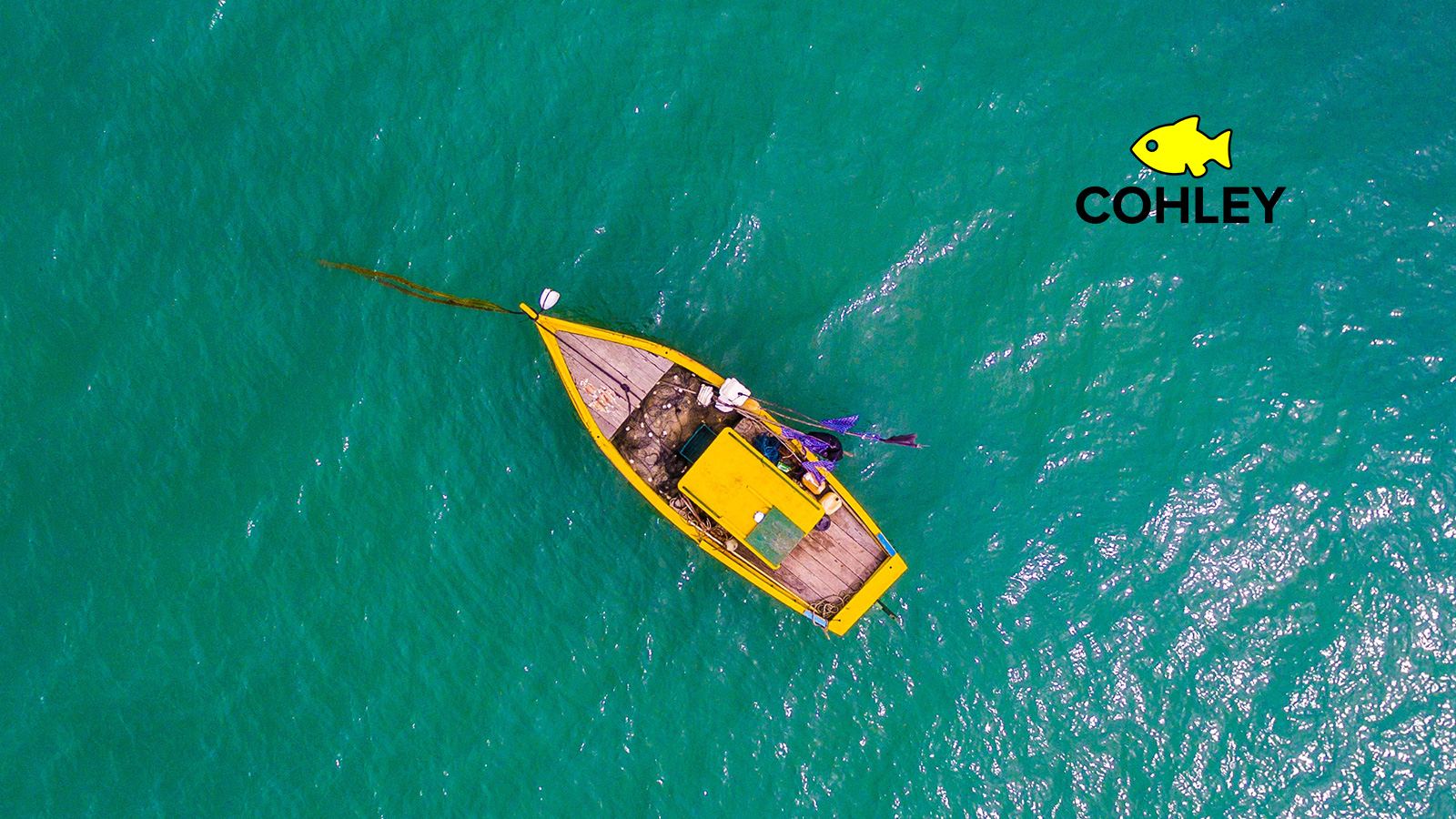 Cohley Introduces “Ghosting” Insurance