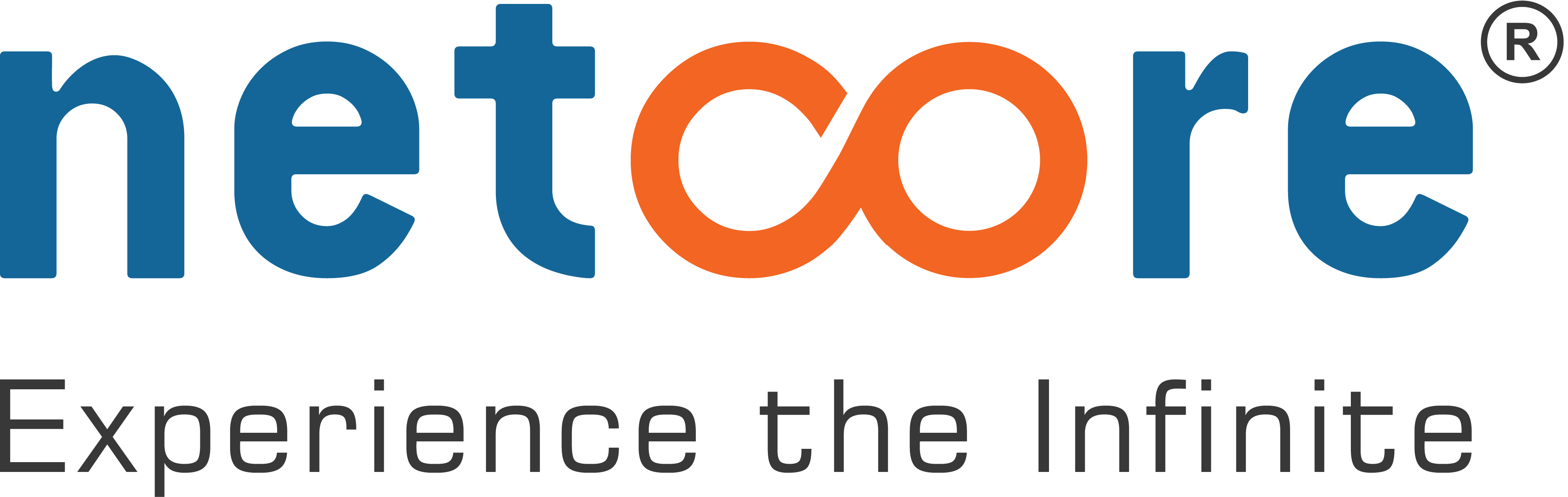 Netcore Solutions logo