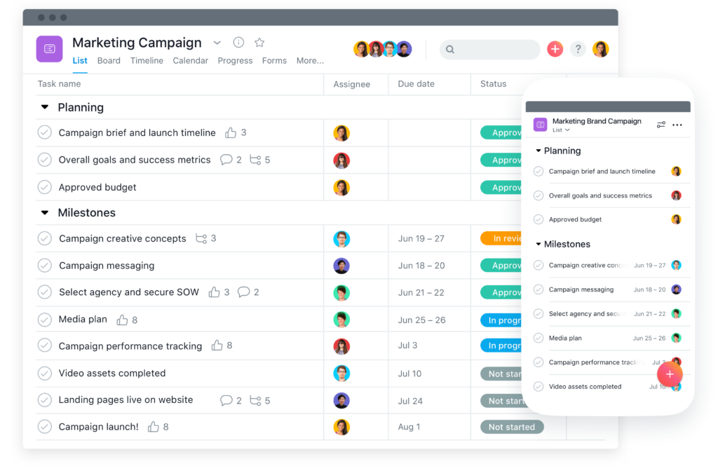 Managing Campaign in Asana. [Source: Asana]