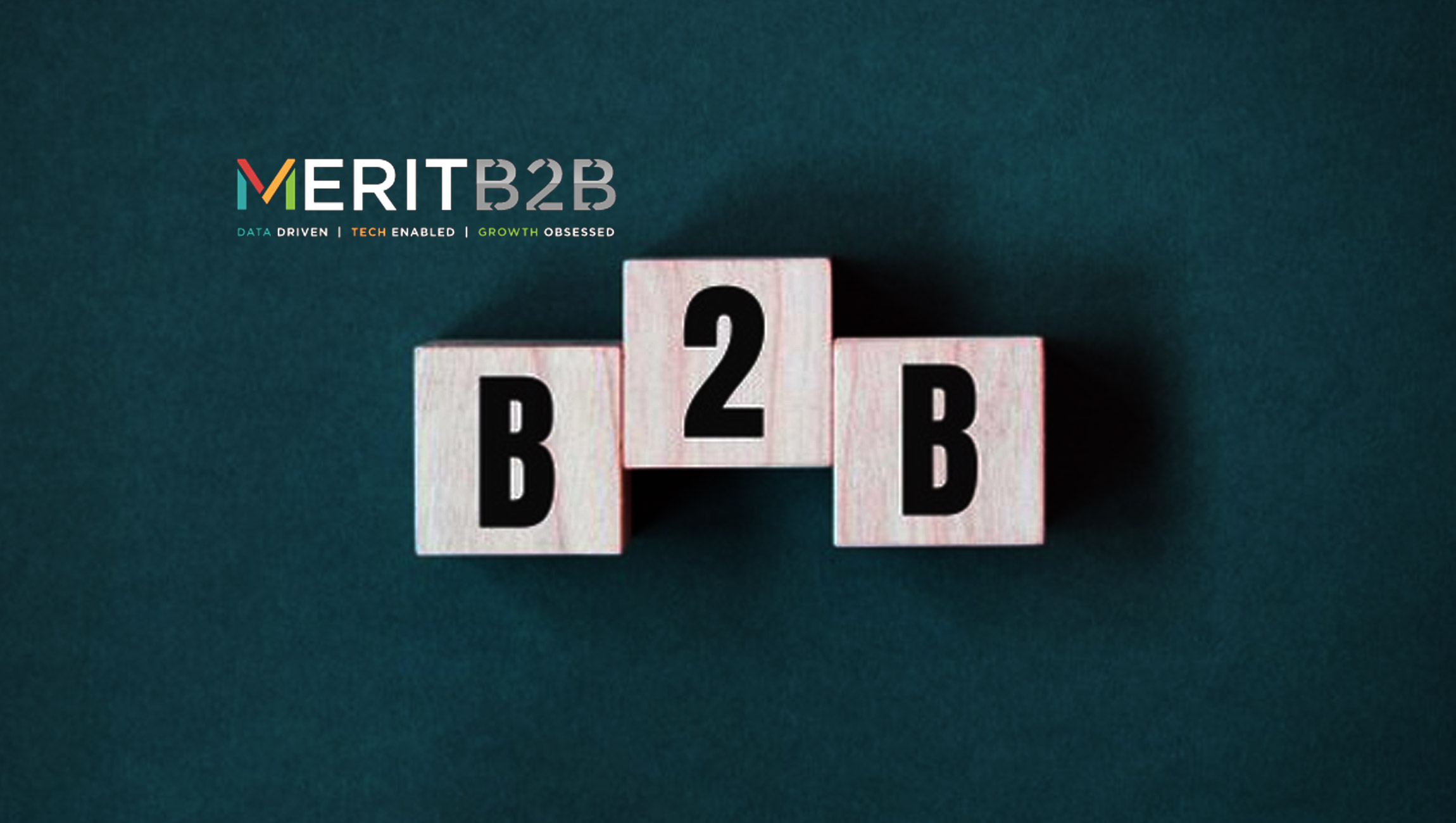 MeritB2B Recognized as a 2022 Google Premier Partner