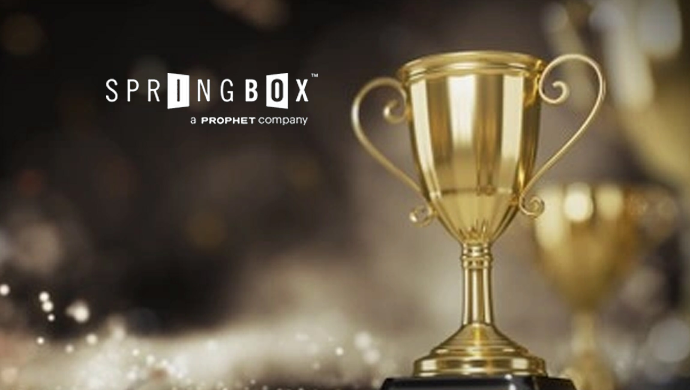 Springbox Wins at the B2B Marketing Elevation Awards 2021