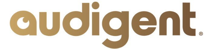 Audigent Secures $19.1 Million Series B Financing Round Led by EPAM ...
