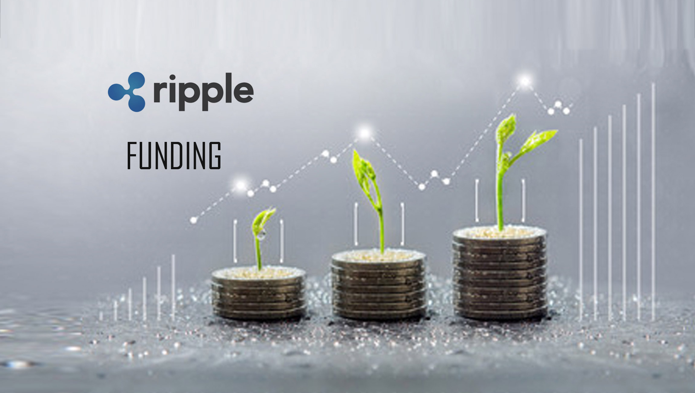 Ripple Announces $250 Million Creator Fund to Evolve NFT Utility