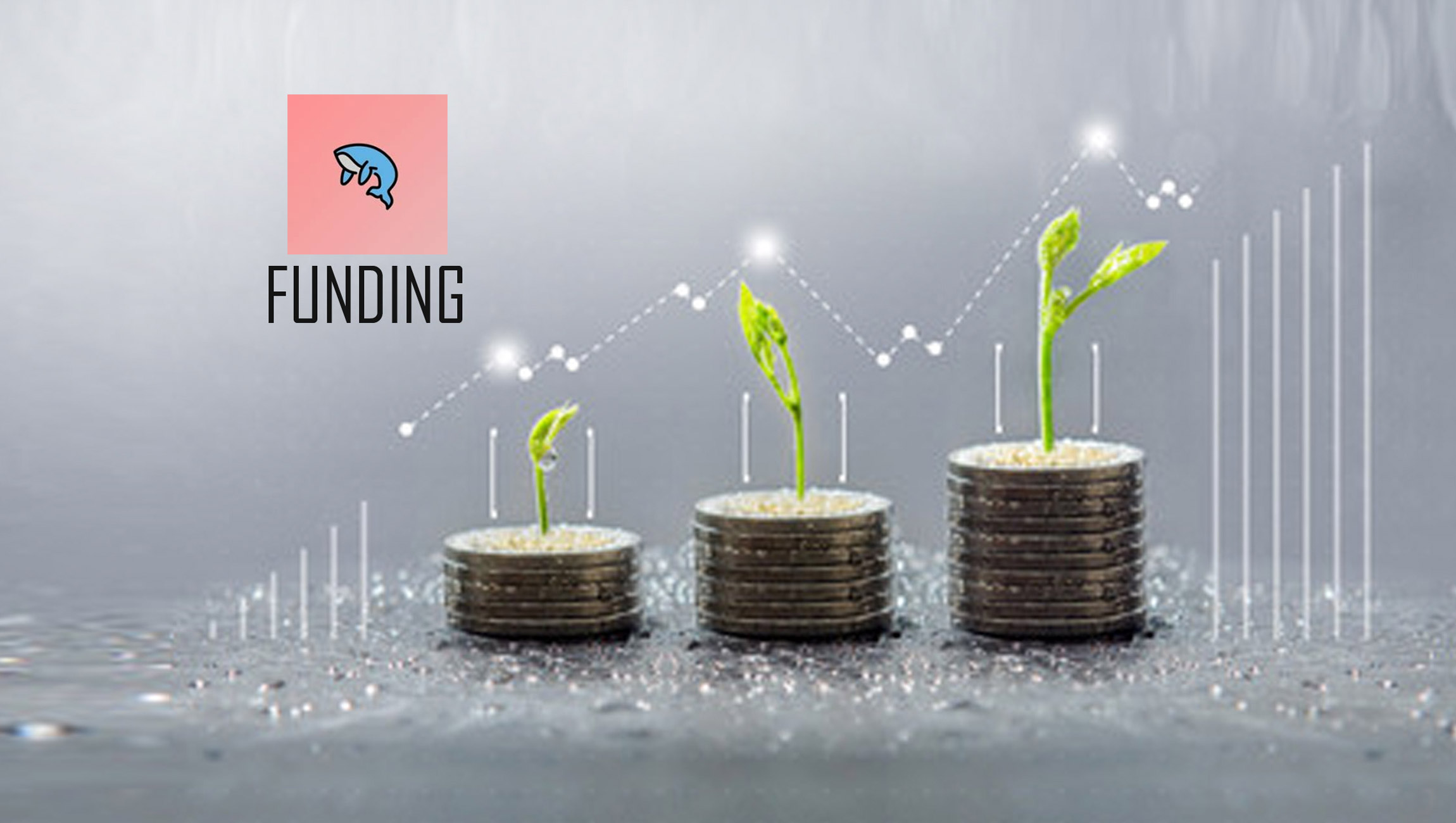 Big Whale Labs Raises $655K in Pre-Seed Funding Led by Slow Ventures