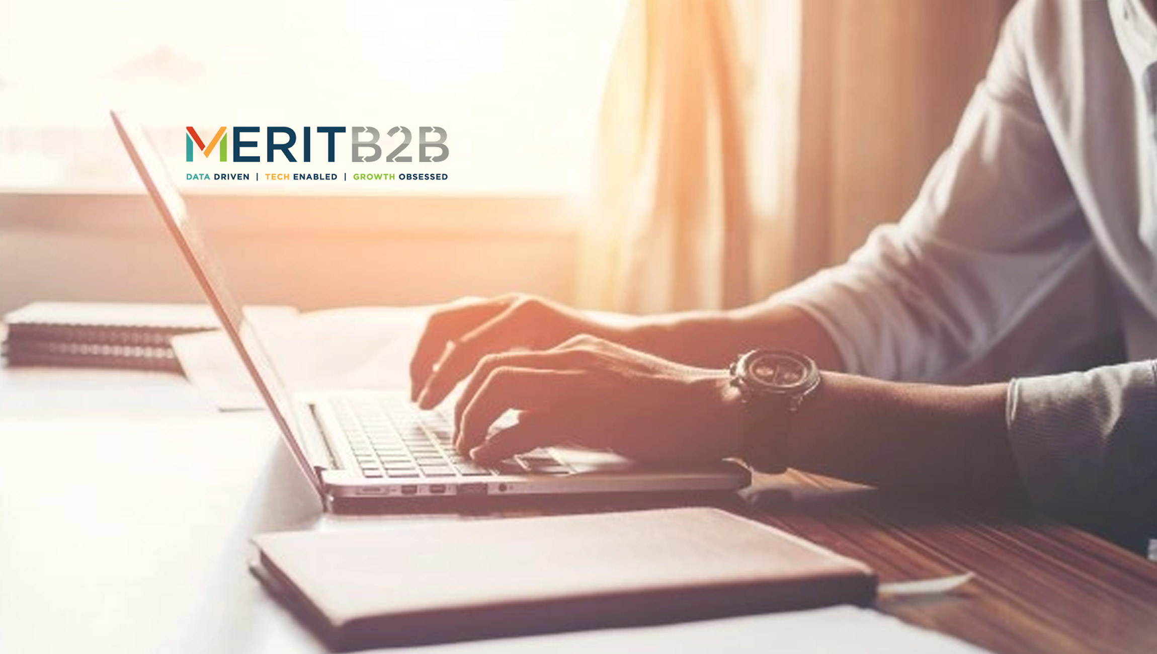 MeritB2B Promotes Todd Love to Chief Commercial Officer