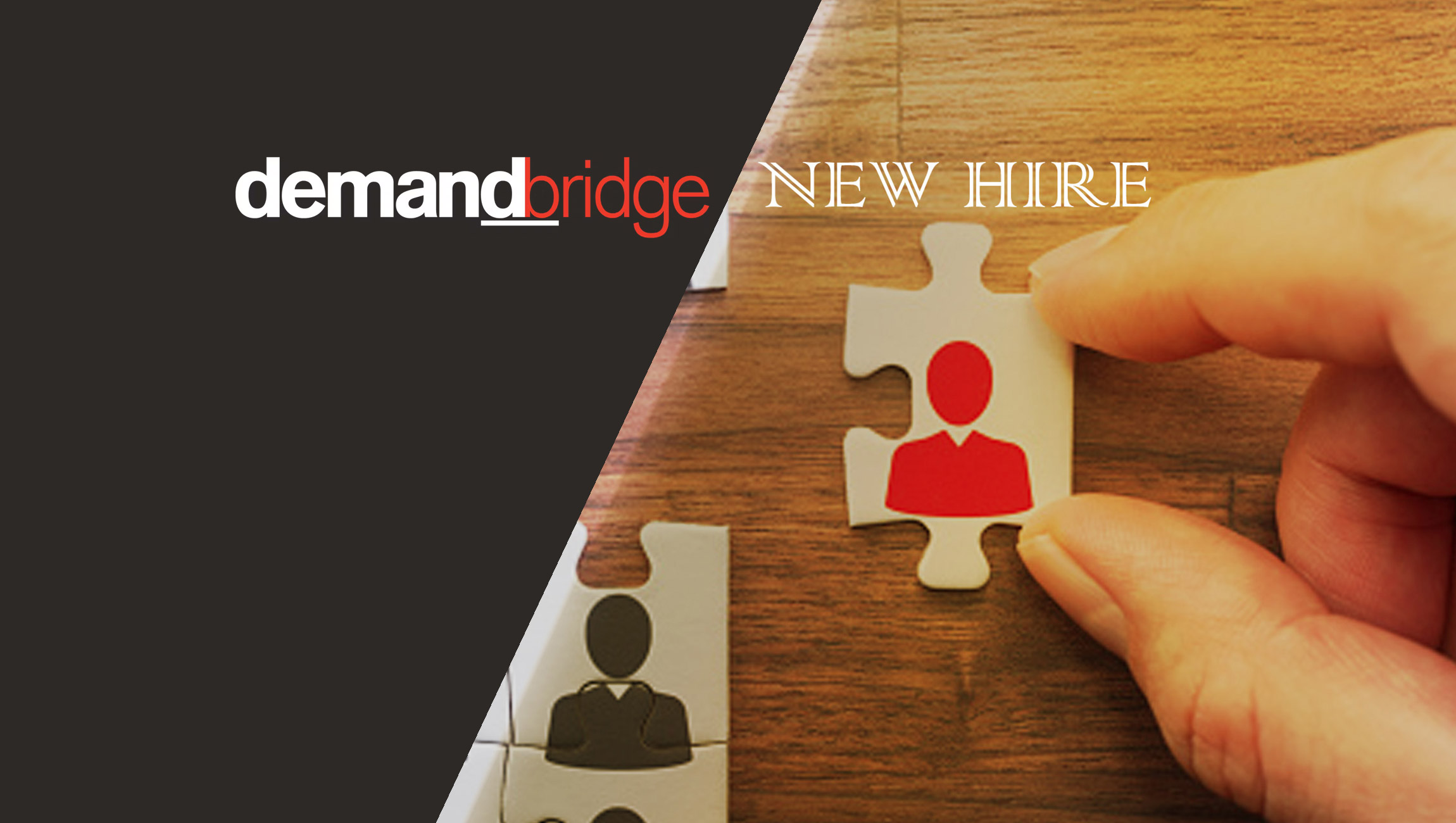 DemandBridge Promotes Michelle Bengermino to Chief Product Officer (CPO)