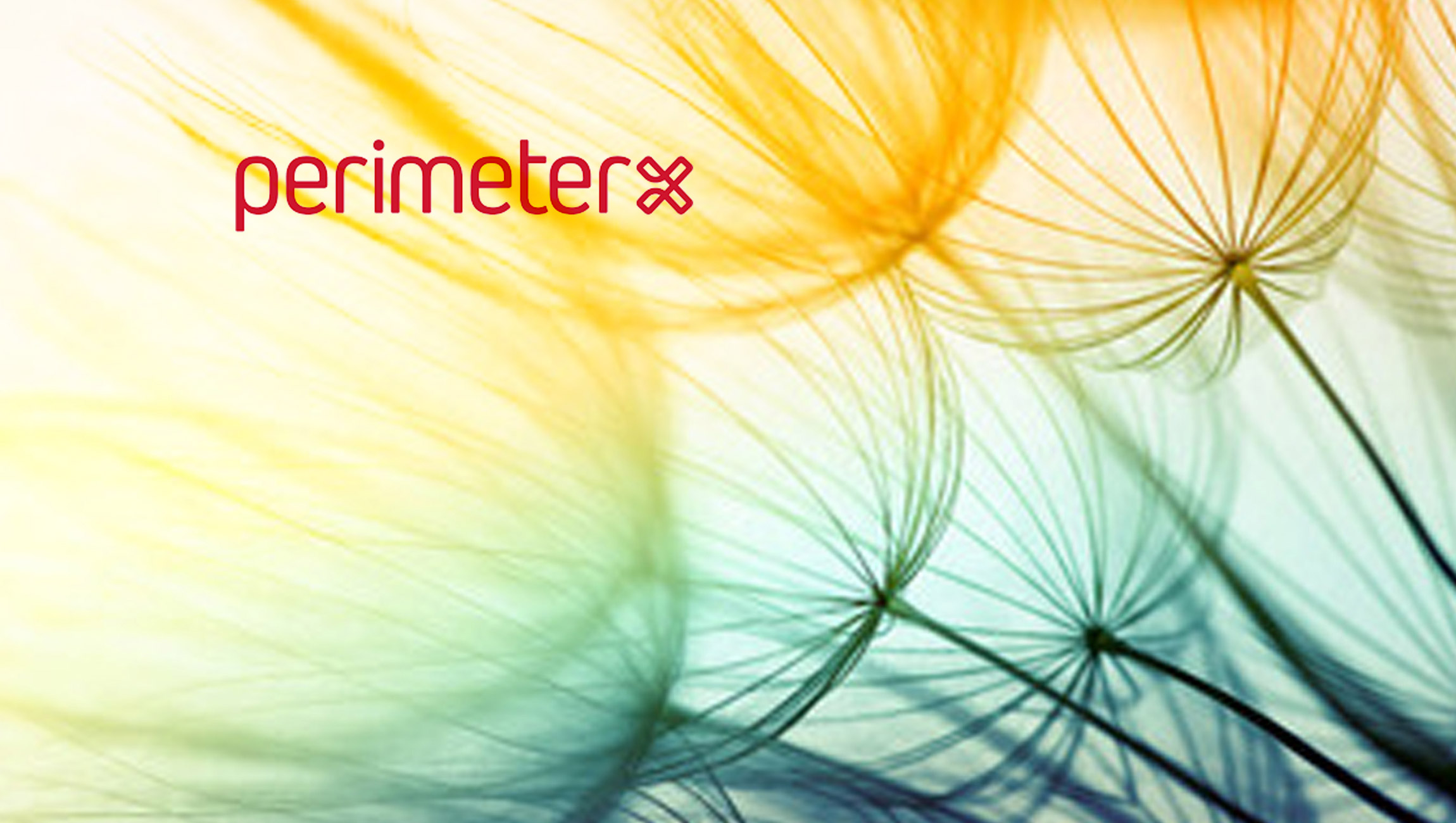 PerimeterX-Celebrates-Milestones-at-the-Close-of-its-Fiscal-Year