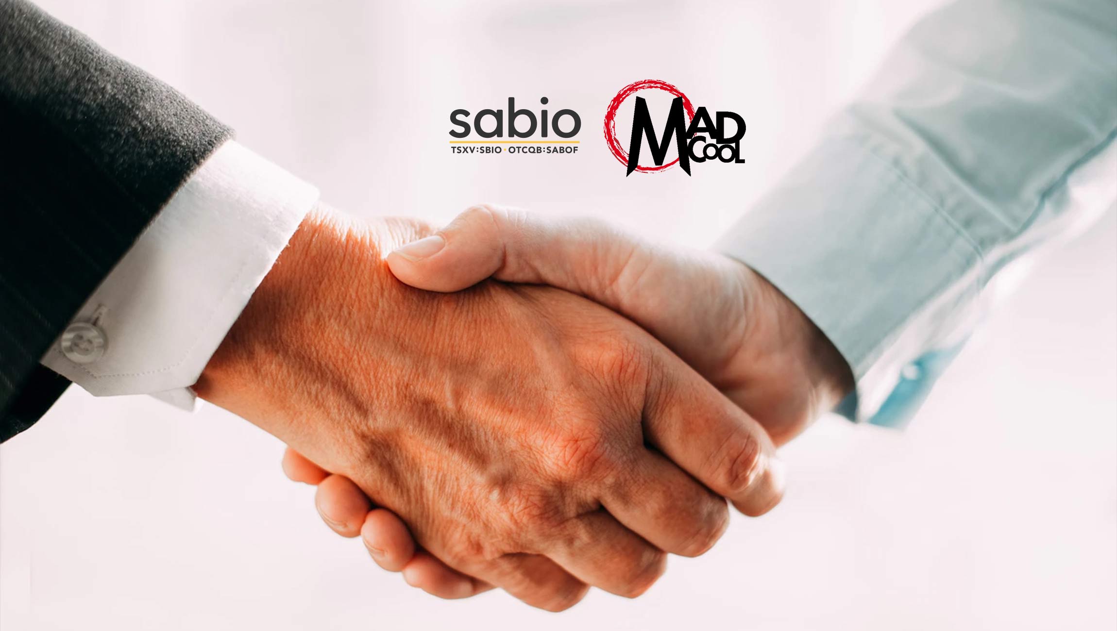 Creator Television® and MADCOOL Media Partner to Bring Culture-Driving Creator Content to Television