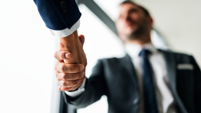 SnapSoft Partners with ziggiz to Revolutionize Enterprise Data Management